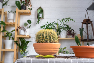 Similar image 21828662