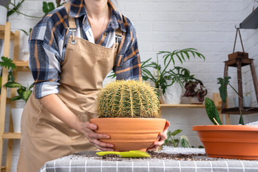 Similar image 21828663