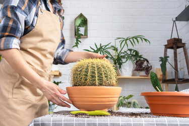 Similar image 21828664