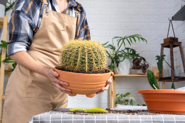 Similar image 21828666