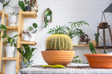 Similar image 21829050