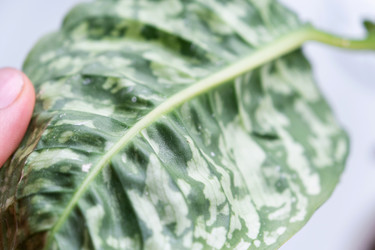 Similar image 21829054