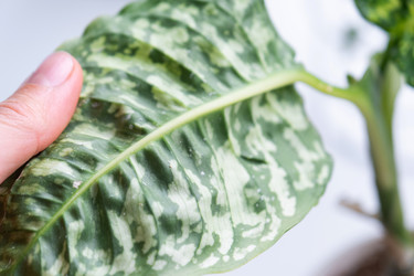 Similar image 21829055