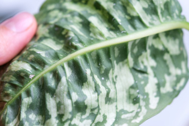 Similar image 21829056