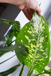 Similar image 21829058