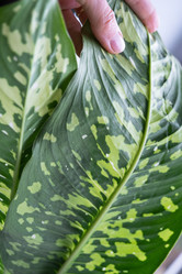 Similar image 21829059