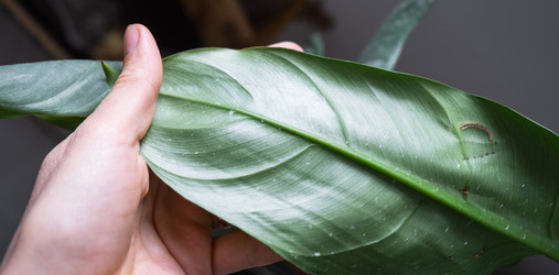 Similar image 21829062