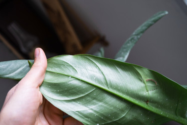 Similar image 21829064