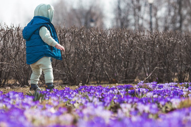 Similar image 21855277