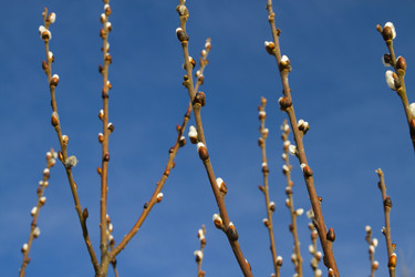 Similar image 21832112