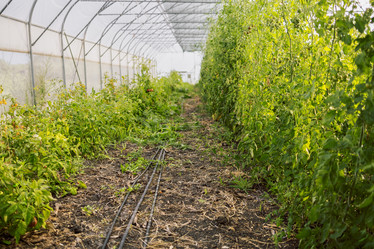 Similar image 21836509