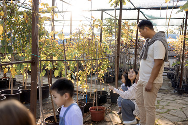 Similar image 21838770