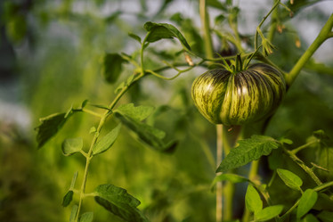 Similar image 21838775