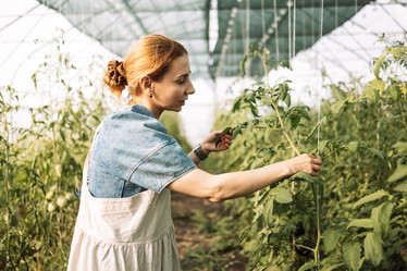 Similar image 21838777