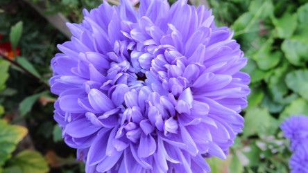 Similar image 21838459