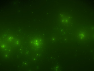 Similar image 21830605