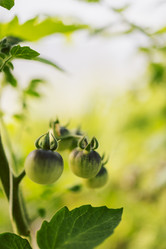 Similar image 21838698