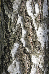 Similar image 21846638