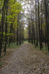 Similar image 21844785