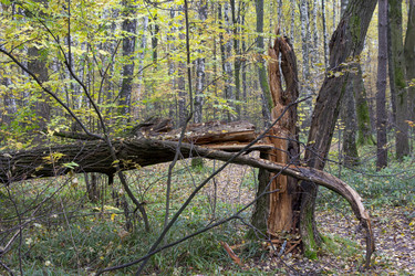 Similar image 21846649