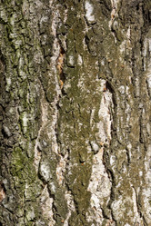 Similar image 21846655