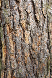 Similar image 21846657