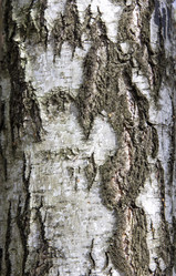 Similar image 21846659