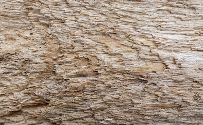 Similar image 21846667