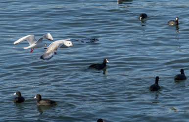 Similar image 21846692