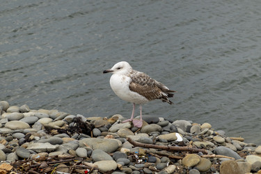 Similar image 21846693