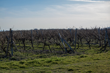 Similar image 21846695