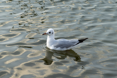 Similar image 21847199