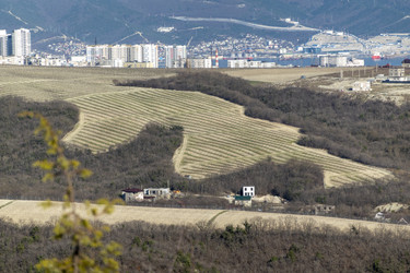 Similar image 21847202