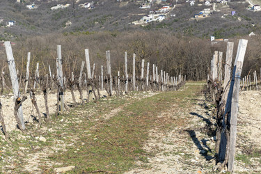 Similar image 21847204