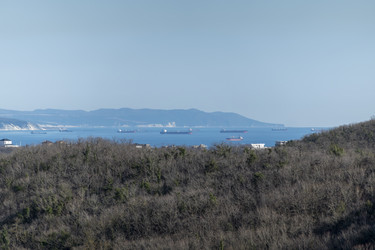 Similar image 21847209