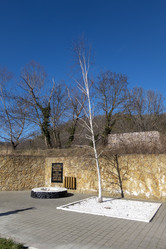 Similar image 21847212