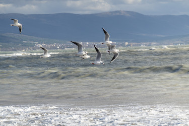 Similar image 21847218