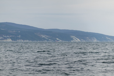 Similar image 21847221