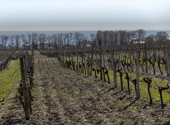 Similar image 21847226