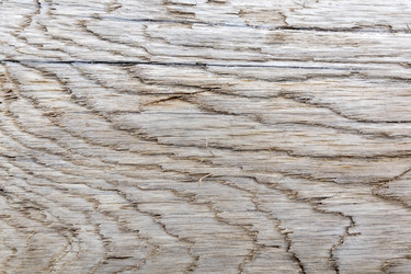 Similar image 21847230