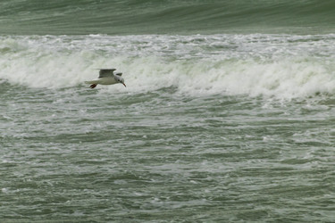 Similar image 21847231