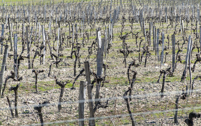 Similar image 21847233