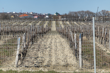 Similar image 21847234