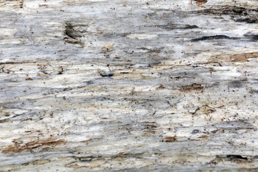 Similar image 21847236