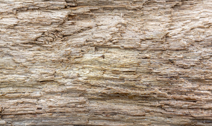 Similar image 21847238