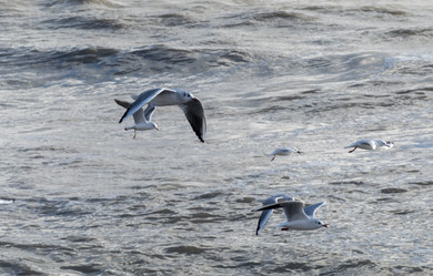 Similar image 21847241