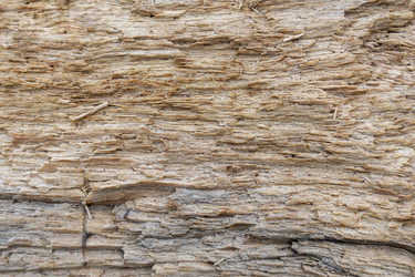 Similar image 21847242