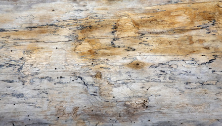 Similar image 21844790