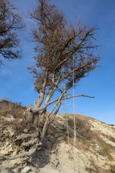 Similar image 21828678