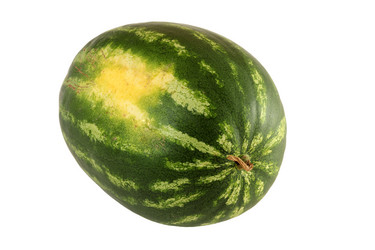 Similar image 21828690